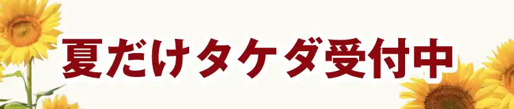 夏だけタケダ受付中