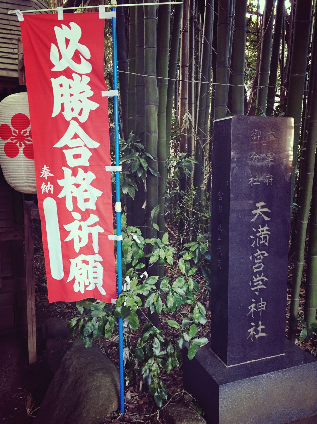 一丸となって頑張れる場所