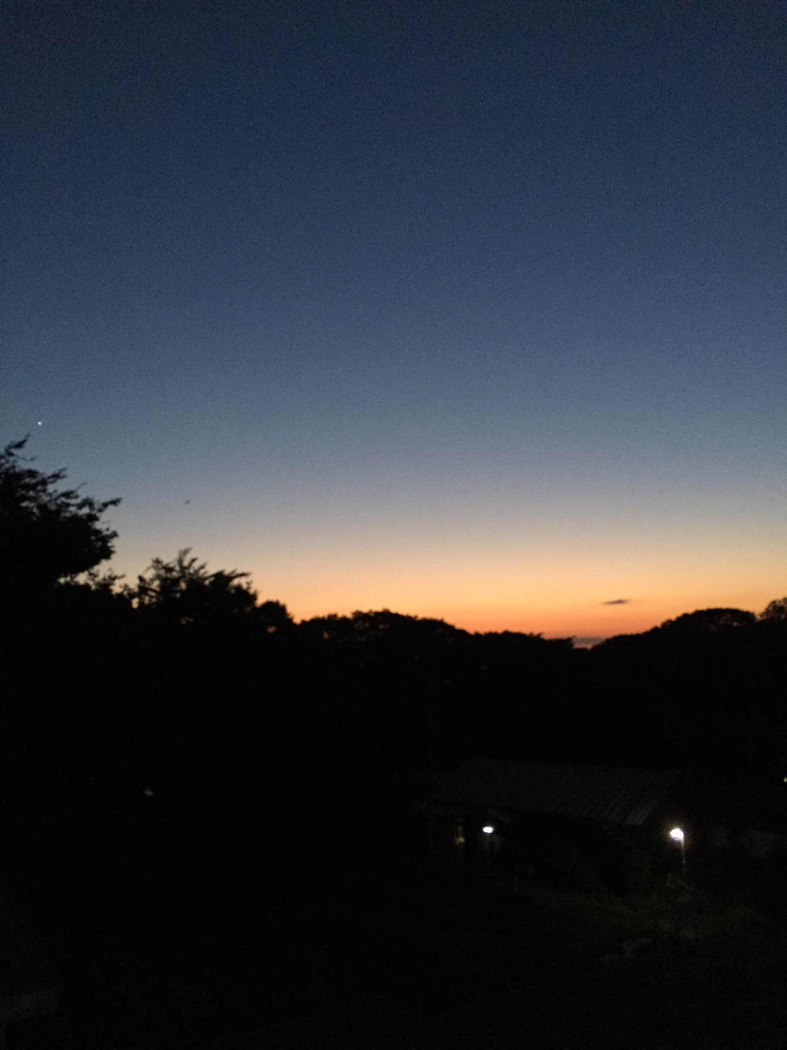 本日の特訓風景